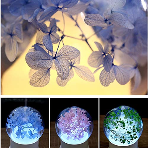 Vivreé™ Air Diffuser – Hydrating Flower Humidifier